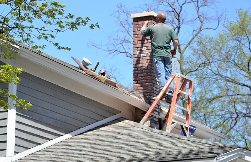 Chimney & Fireplace Inspections Services in Jasmine Estates, FL